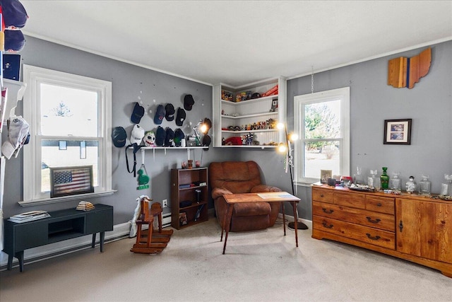 sitting room with carpet flooring