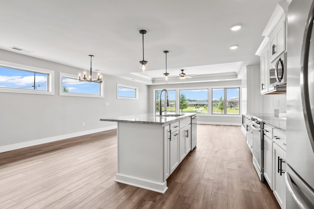 1160 Waterloo St, Troy, OH 45373 - kitchen featuring a tray ceiling, appliances with stainless steel finishes, a ceiling fan, wood finished floors, and light stone counters