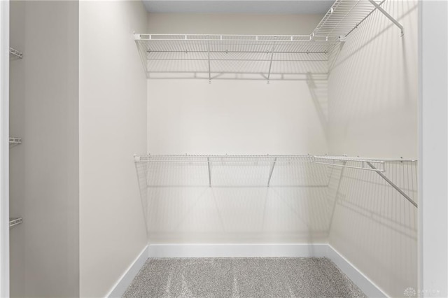 spacious closet featuring carpet floors