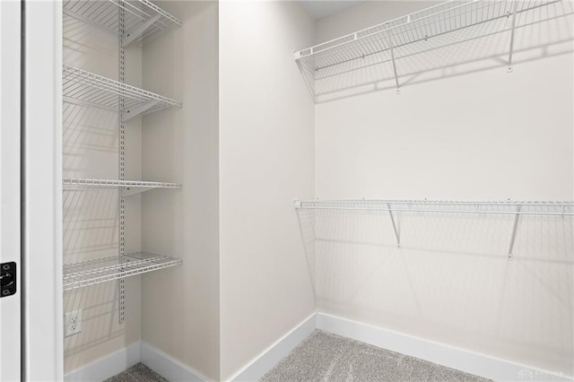 spacious closet featuring carpet floors