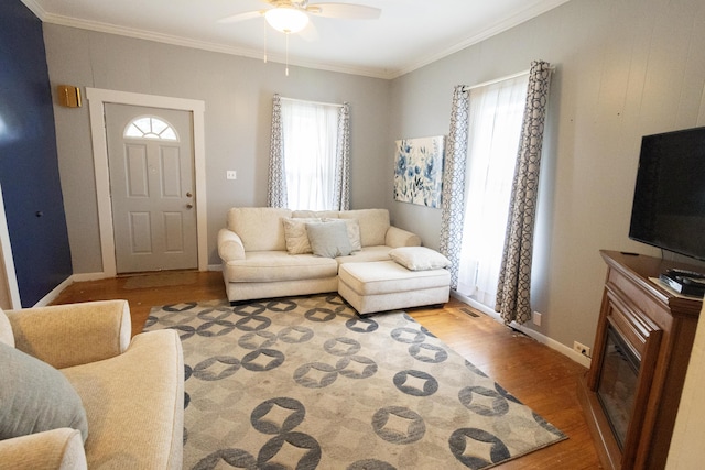 1005 S St, Piqua, OH 45356 - photo 4
