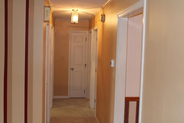 hallway with ornamental molding