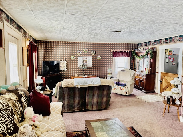 living room featuring carpet flooring