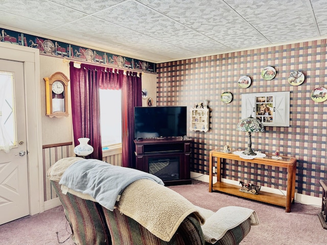 living room with carpet floors