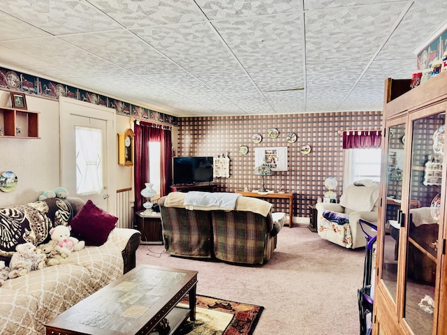 living room with carpet floors and a wealth of natural light