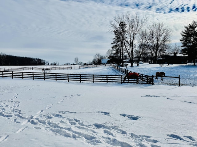 yard covered in snow featuring a rural view