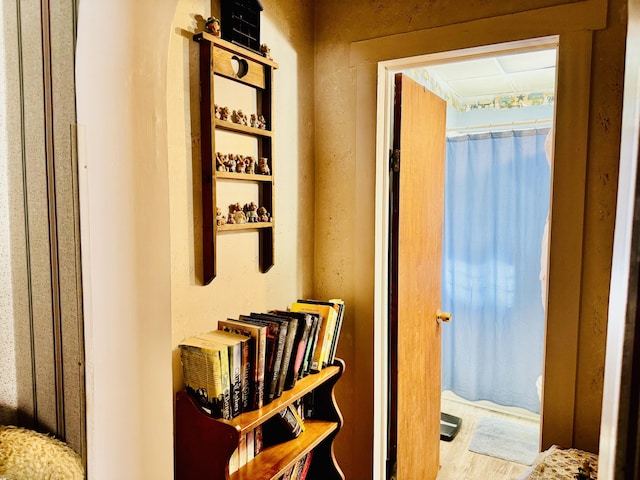 hallway featuring wood-type flooring