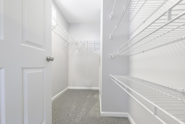 11531 Circle Dr, Lakeview, OH 43331 - walk in closet with carpet