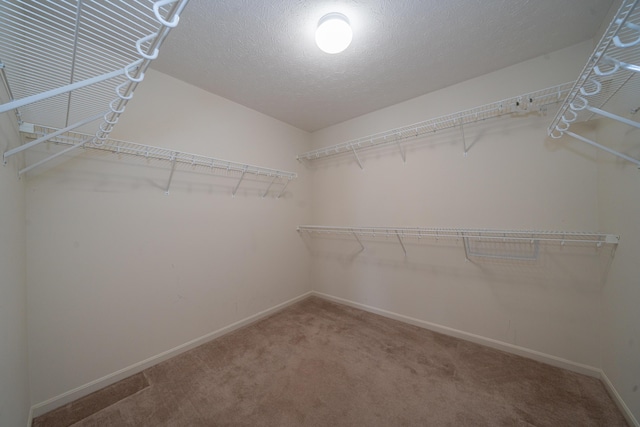 spacious closet with carpet flooring