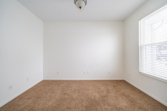 carpeted spare room with a wealth of natural light