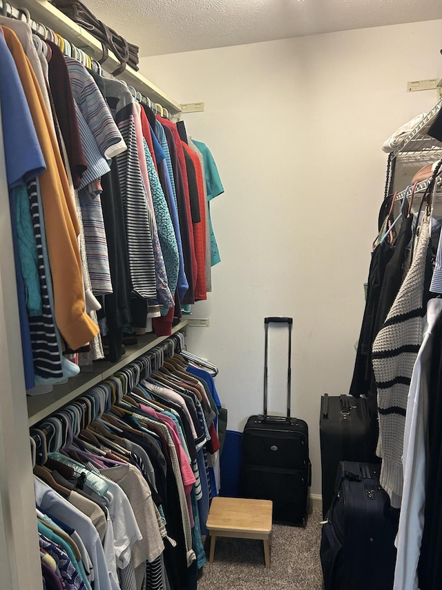 walk in closet with carpet floors