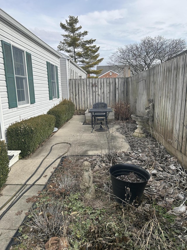 view of yard featuring a patio