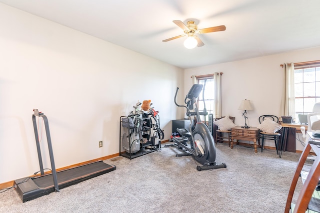 9162 Township Road 169 N, West Liberty, OH 43357 - workout room featuring ceiling fan, carpet floors, and baseboards