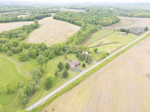 9162 Township Road 169 N, West Liberty, OH 43357 - view of rural area