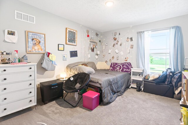 2905 State Route 235 S, Saint Paris, OH 43072 - photo 29