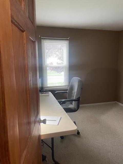 office space featuring carpet and baseboards