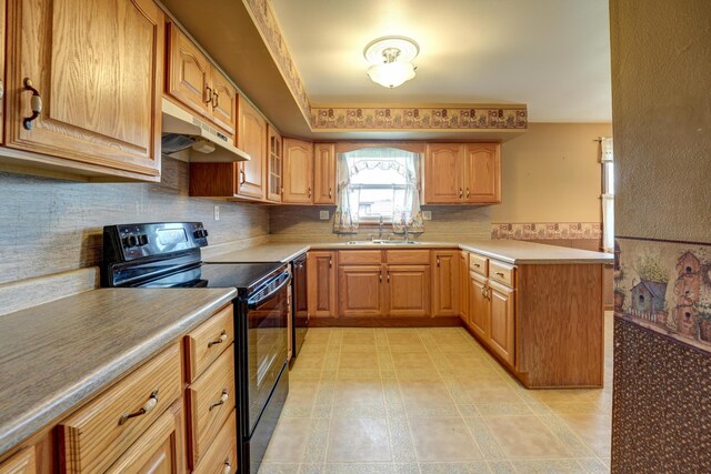 kitchen with black electric range oven, light countertops, under cabinet range hood, a sink, and dishwasher