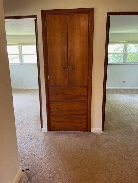 1401 E Home Rd, Springfield, OH 45503 - corridor featuring light colored carpet and healthy amount of natural light