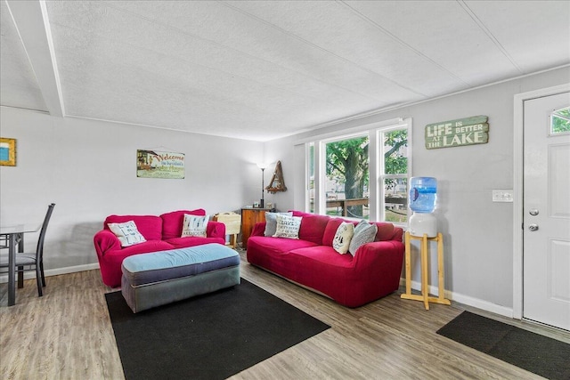 living room with hardwood / wood-style floors