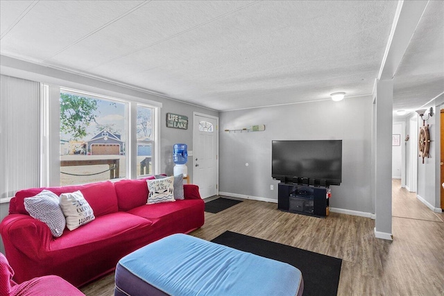 living room featuring hardwood / wood-style floors and a textured ceiling