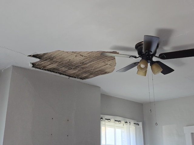 interior details with ceiling fan