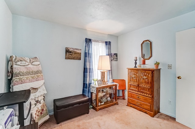 sitting room featuring light carpet