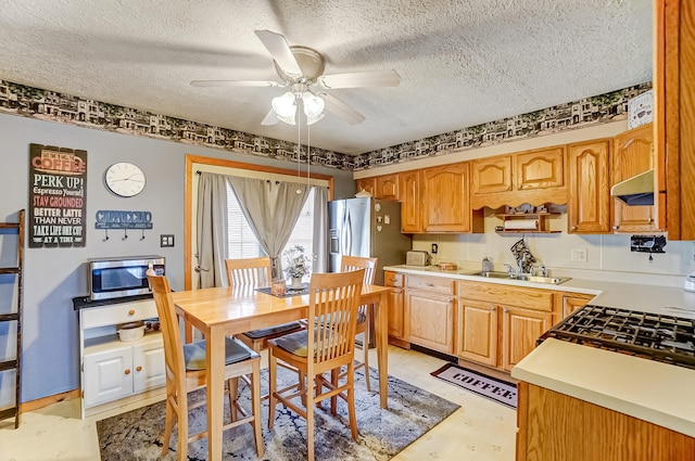 kitchen with light countertops, appliances with stainless steel finishes, a sink, a textured ceiling, and extractor fan