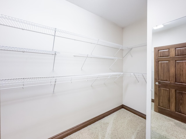 view of spacious closet