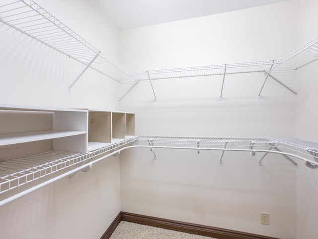 view of spacious closet