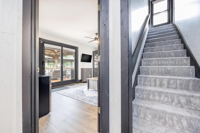 11181 Elm St, Lakeview, OH 43331 - staircase with wood finished floors and a ceiling fan