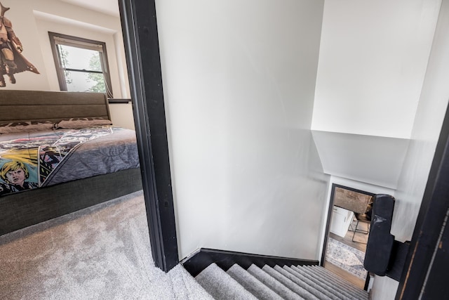 11181 Elm St, Lakeview, OH 43331 - stairs featuring carpet flooring