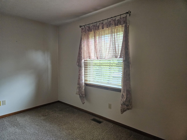 823 Spring Falls Ave, Springfield, OH 45502 - photo 24