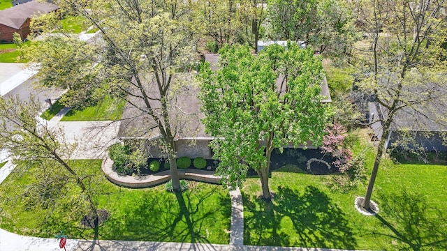drone / aerial view