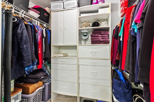 view of spacious closet