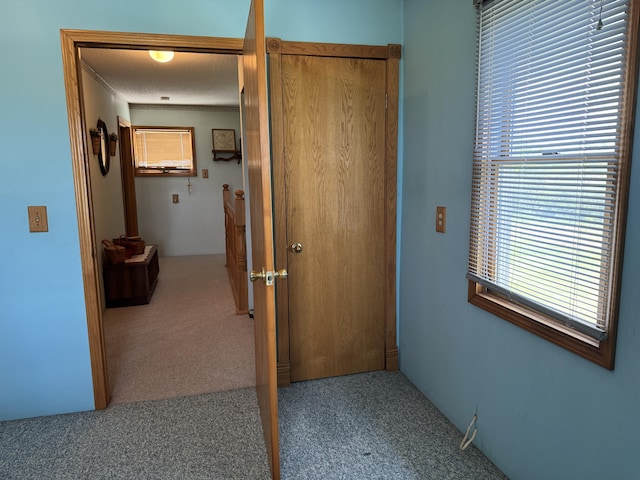 5062 Mercer Van Wert County Line Rd, Rockford, OH 45882 - hall featuring carpet floors and crown molding