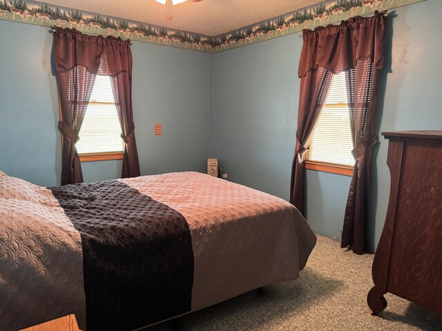 5062 Mercer Van Wert County Line Rd, Rockford, OH 45882 - bedroom with carpet, multiple windows, and a textured ceiling