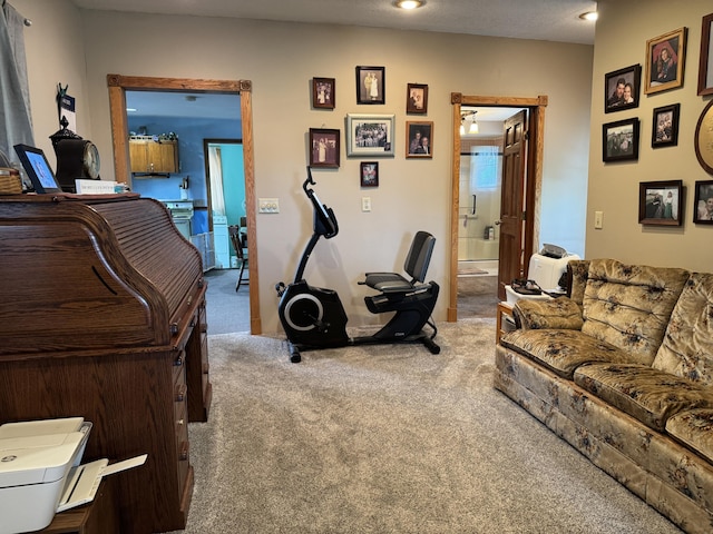 5062 Mercer Van Wert County Line Rd, Rockford, OH 45882 - exercise area featuring carpet and recessed lighting