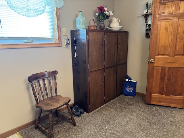 5062 Mercer Van Wert County Line Rd, Rockford, OH 45882 - living area with carpet and baseboards