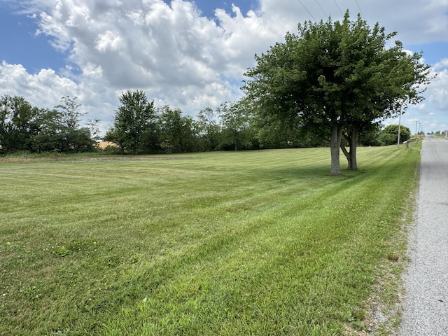 5062 Mercer Van Wert County Line Rd, Rockford, OH 45882 - view of green lawn