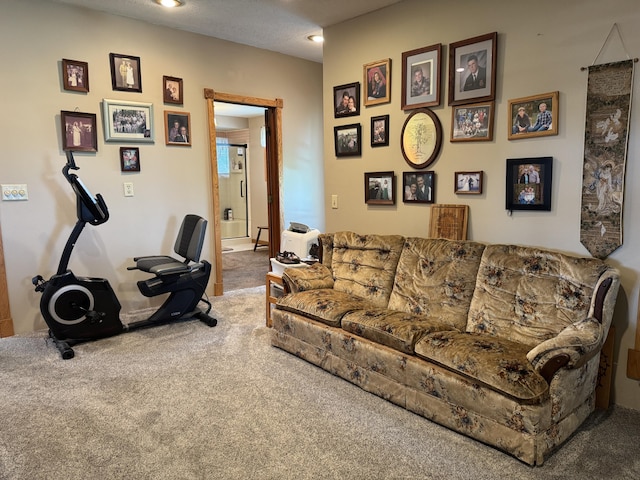 5062 Mercer Van Wert County Line Rd, Rockford, OH 45882 - living room with carpet flooring and recessed lighting