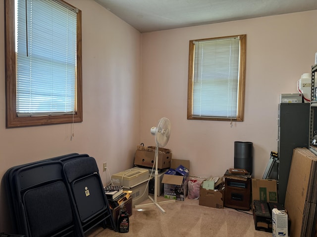 5062 Mercer Van Wert County Line Rd, Rockford, OH 45882 - office featuring carpet floors