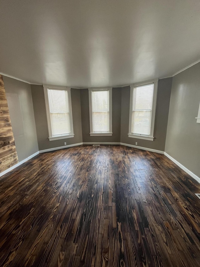 spare room featuring baseboards, dark wood finished floors, and a healthy amount of sunlight