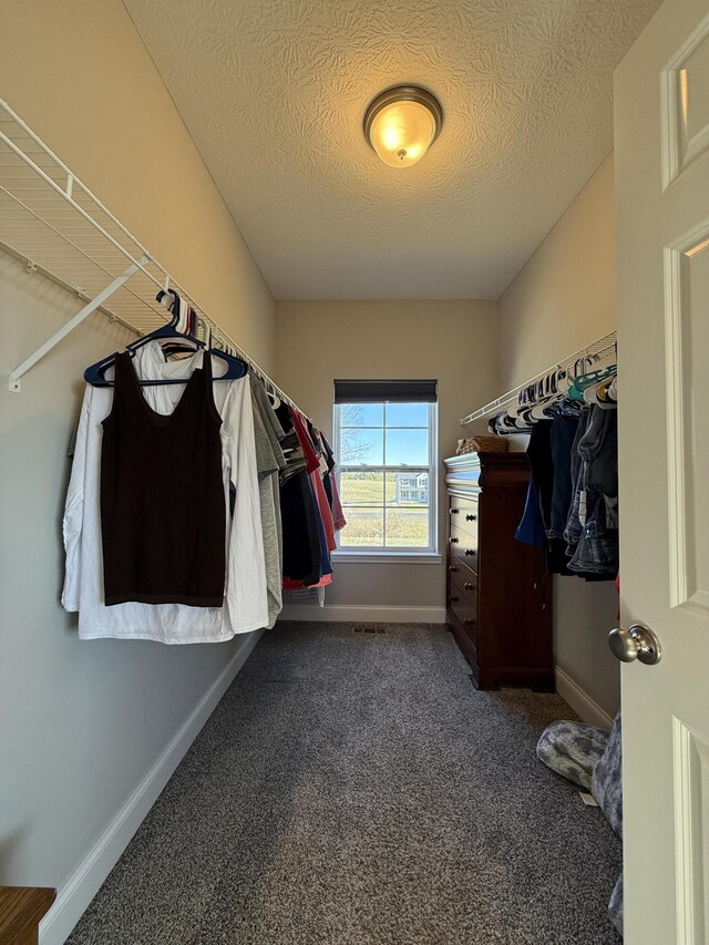 spacious closet featuring carpet flooring