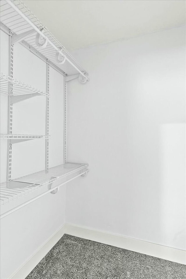 spacious closet featuring carpet floors