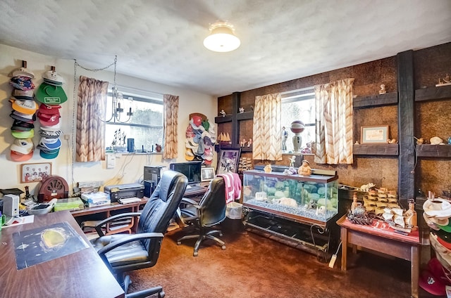 office featuring a wealth of natural light and carpet floors