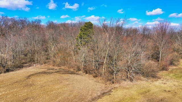 view of nature with a forest view