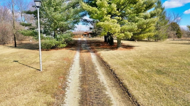 view of yard with dirt driveway