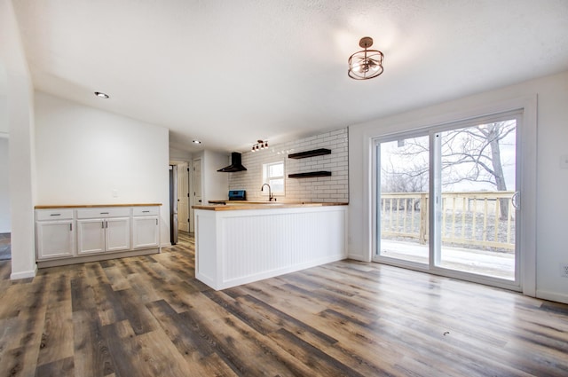 kitchen featuring a sink, wall chimney exhaust hood, dark wood-type flooring, and wood counters