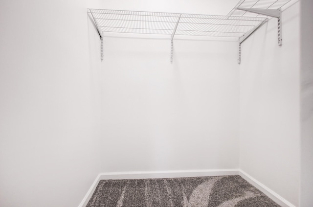 walk in closet featuring carpet flooring