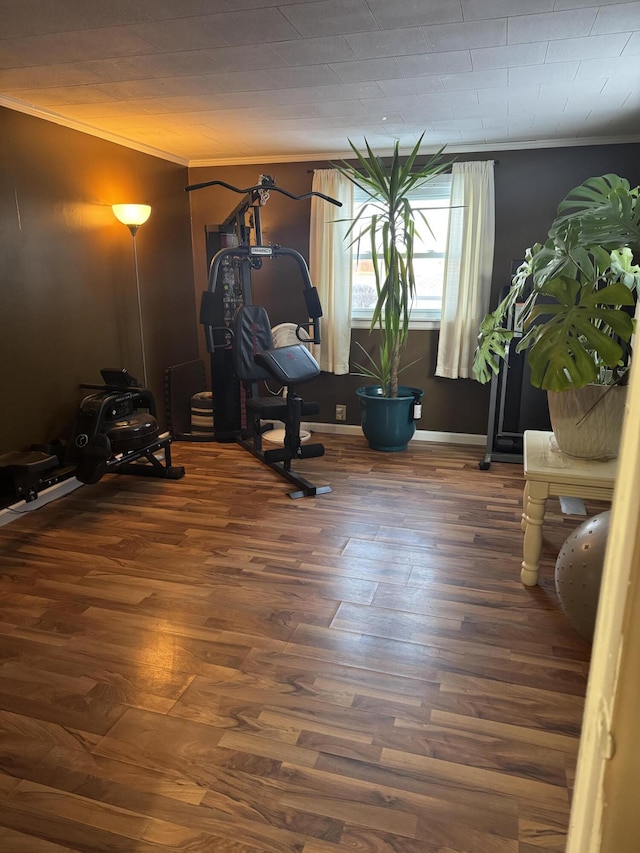 exercise area featuring wood finished floors and crown molding